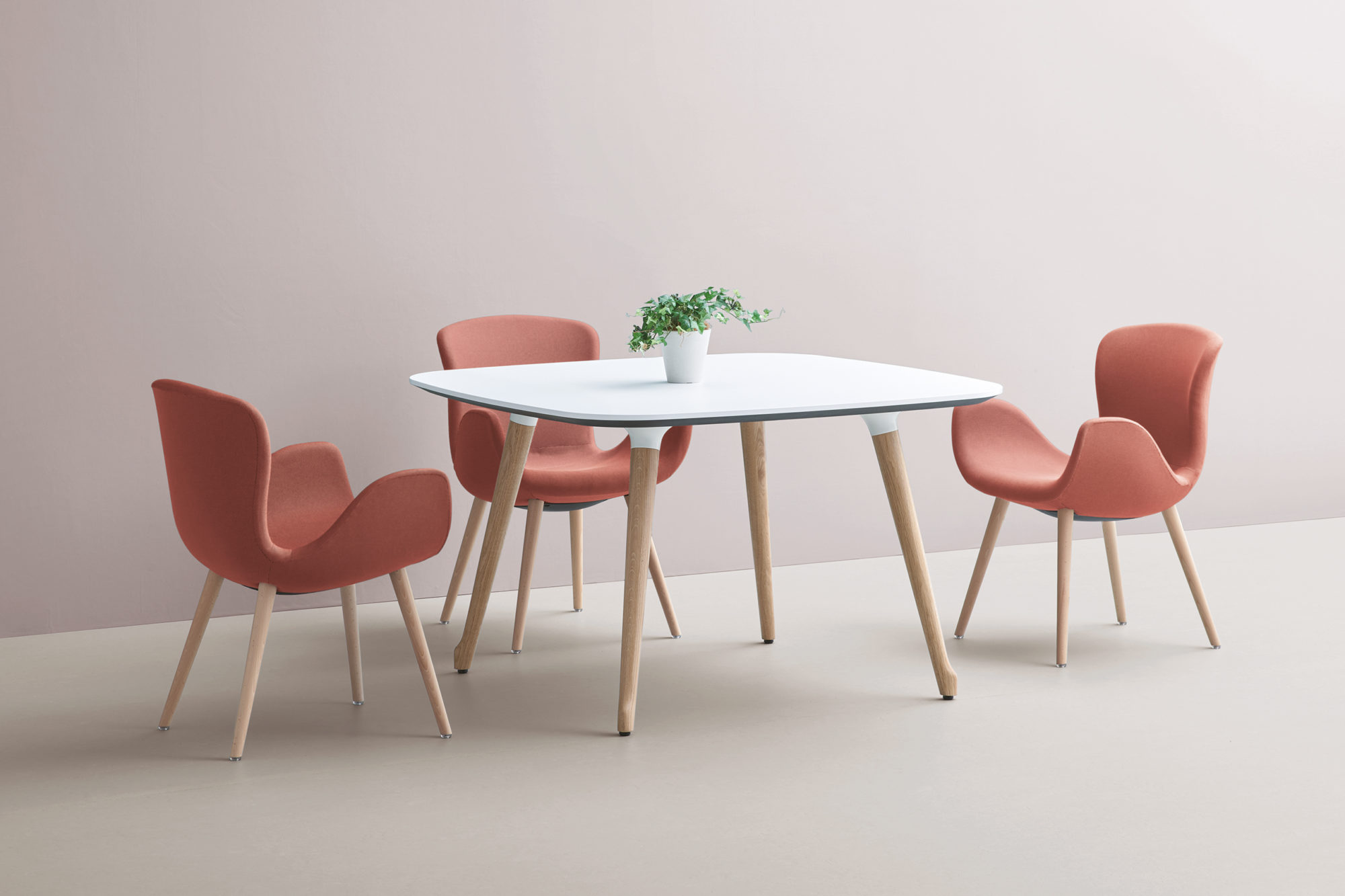 <br />
<b>Warning</b>:  Undefined variable $fleximgcaption in <b>/nas/content/live/rainlightstdev/wp-content/themes/rainlight.2021.v2/parts/flexiblecontent/flex-image.php</b> on line <b>7</b><br />
